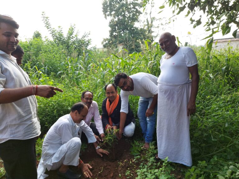 भाजपा कार्यकर्ताओं ने सेवा पखवारा पर किया बूथवार वृक्षारोपण।