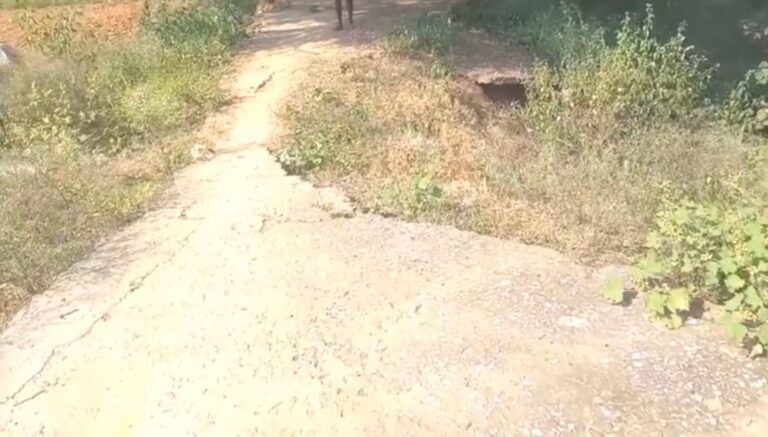 अबाड़ी में बना पुलिया चढ़ा भ्रष्टाचार की भेंट।