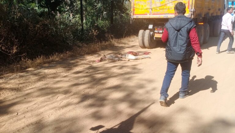 पिकनिक मनाने जा रहे दो युवकों को डम्फर ने रौंदा ,परिजनों में कोहराम।