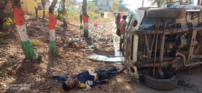 ब्रेकिंग तेज रफ्तार अनियंत्रित होकर पिकअप पलटी