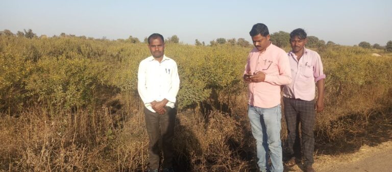 संदिग्ध परिस्थितियों में अरहर की खेत में लगी आग, 3 बीघा की फसल नुकसान।