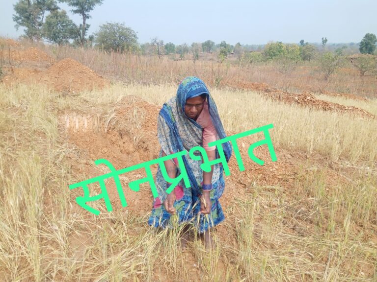 जनजाति परिवार का वन दरोगा व फारेस्ट गार्ड ने जे सी बी से फसल किया नुकसान