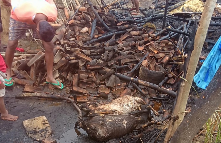 घर में लगी आग,आठ बकरियां जलकर राख, दो भैस झुलसी