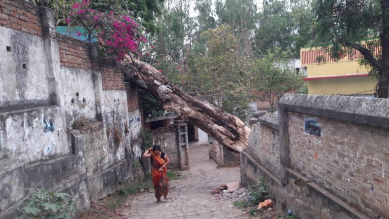 रेणुकूट मूर्धवा सरकारी प्राइमरी स्कूल के पास कभी भी घट सकती है बड़ी अनहोनी।