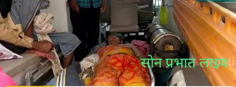 मांगलिक कार्यक्रम में चौथी छुड़ाने आयी महिला को मगरमच्छ ने दबोचा, रेफर