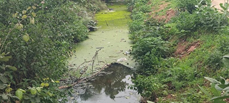 दुद्धी : डीसीएफ के बगल में नहर की सफाई न होने से फैल रही बदबू।