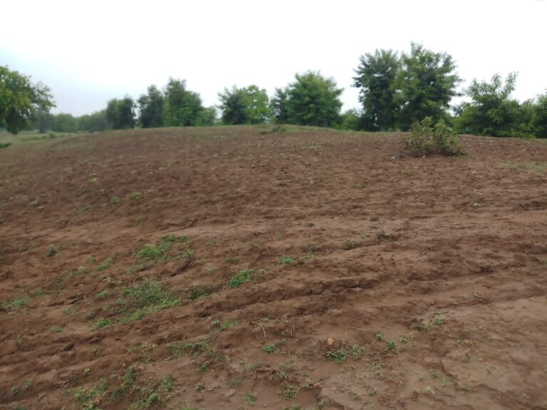 कनहर नदी किनारे 20 बीघा वन भूमि में लगे प्लांटेशन को क्षतिग्रस्त कर ग्रामीणों ने जुताई की। 