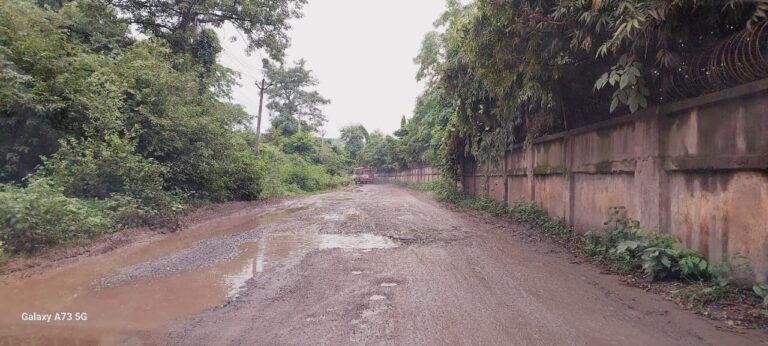 लापरवाही-बनते ही दो दिन में उखड़ जाती है सड़क, जिम्मेदार कौन?