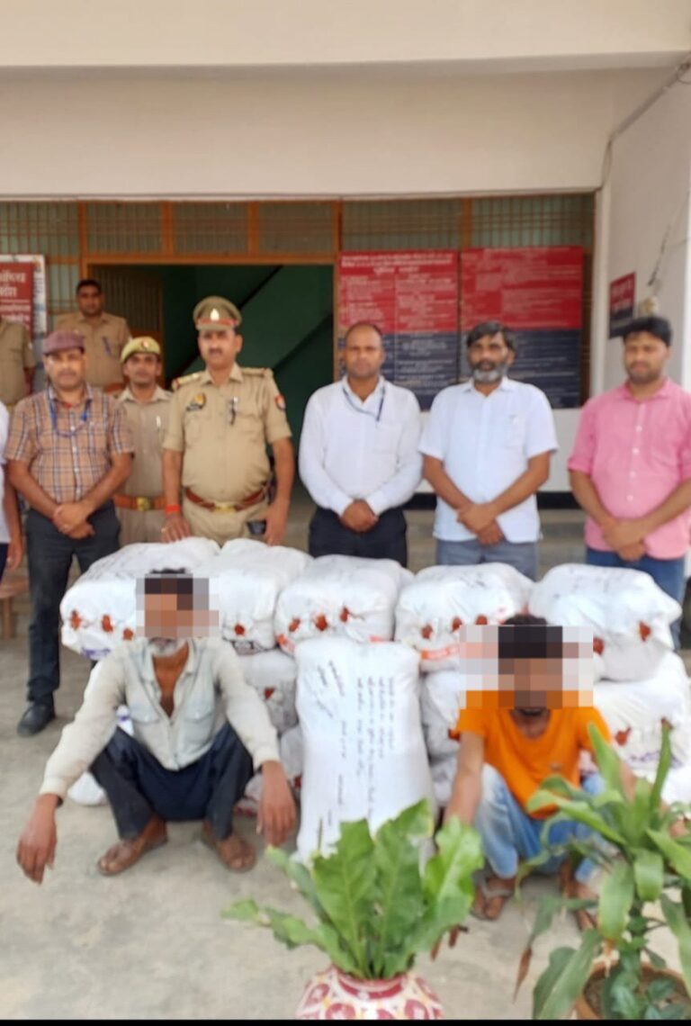 सोनभद्र : STF, NCB लखनऊ व पिपरी पुलिस ने ट्रक समेत 320 किलो गांजा पकड़ा।