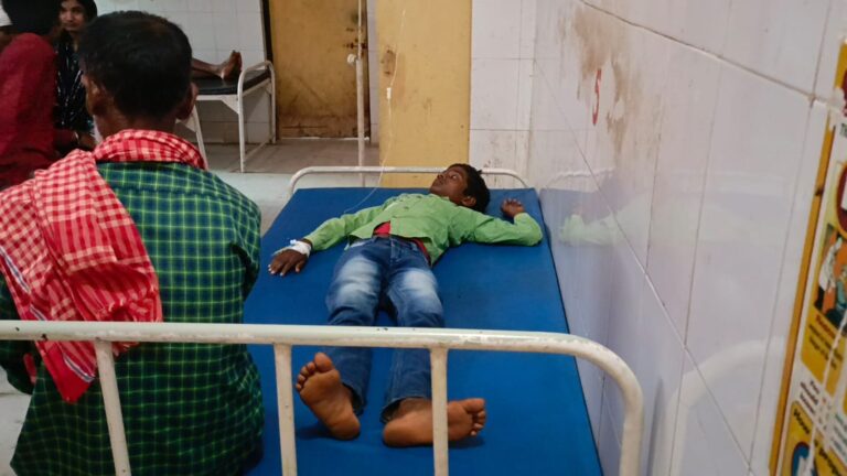 हरपुरा गांव में सर्पदंश से एक किशोर अचेत, अस्पताल में इलाज जारी।