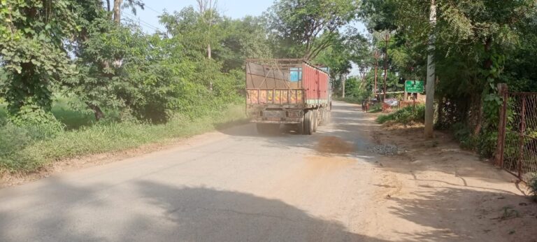 सड़क के गड्ढों में डाली गयी भस्सी मिट्टी बनी मुसीबत