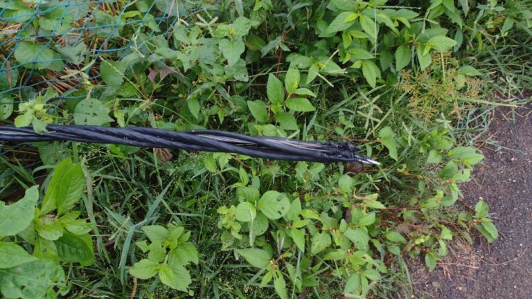 कई जगह जर्जर तार टूट कर गिरे चार दिन से बिजली आपूर्ति बदहाल।