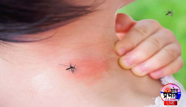 Sonbhadra News : मच्छरों के प्रकोप से सीजनल बीमारी ने पाँव पसारा,मरीज बढ़े।