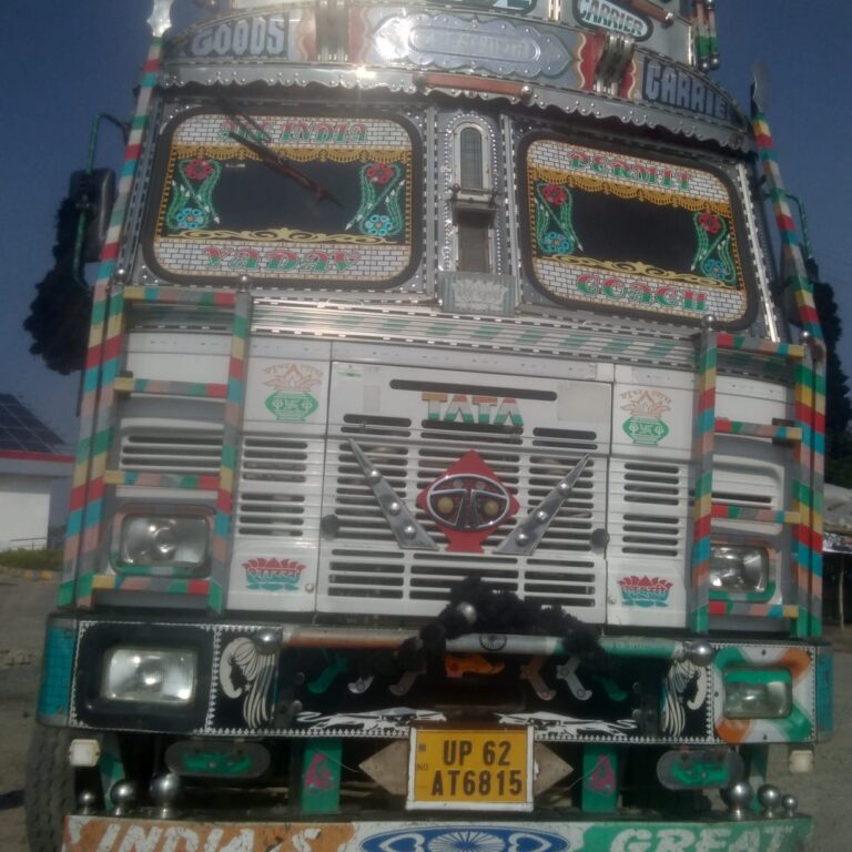 Accident-तेज रफ्तार ट्रक ने मासूम को कुचला,मौत