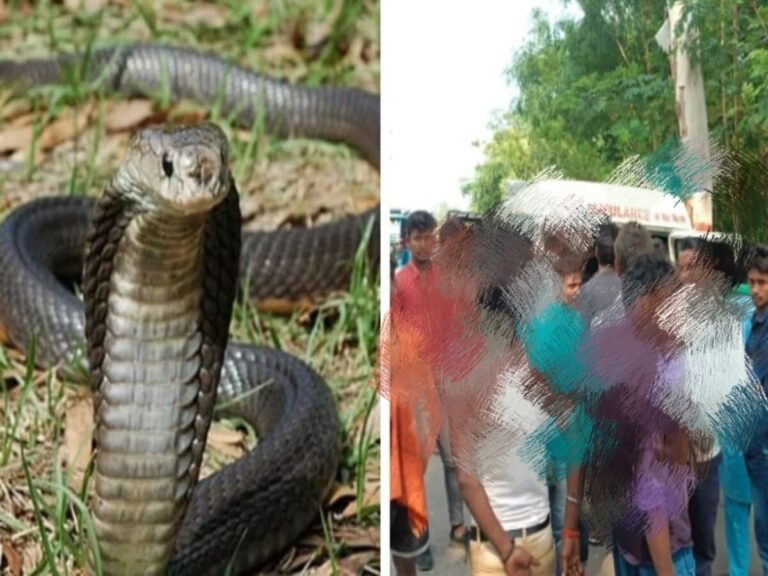 विषैले जन्तु के काटने से महिला की मौत