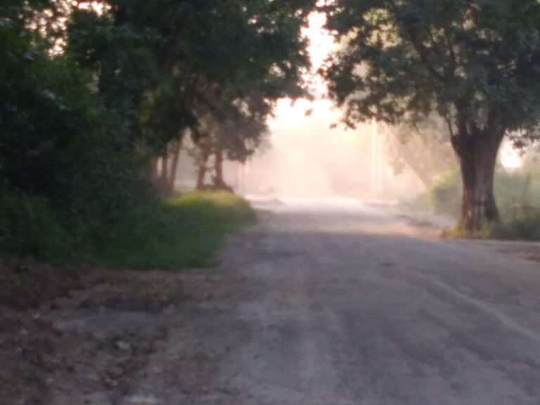 राख परिवहन में एनजीटी के नियमों की अनदेखी सड़क पर गिराई जा रही राख चलना हुआ दुश्वार।