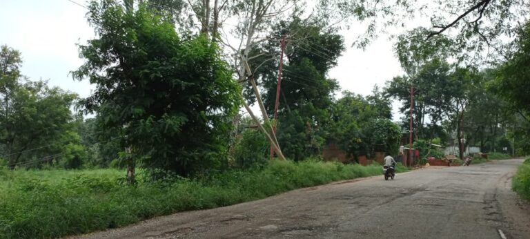 सड़क ऐसा कि बाइक पर घुड़सवारी का मजा, कब सुधरेंगे हालात सड़कों के।