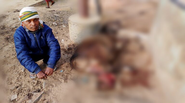 22 घण्टे बाद खुला जाम अनियंत्रित डम्फर एक बैल का पैर कुचल कर हुआ फरार, मचा हंगामा।