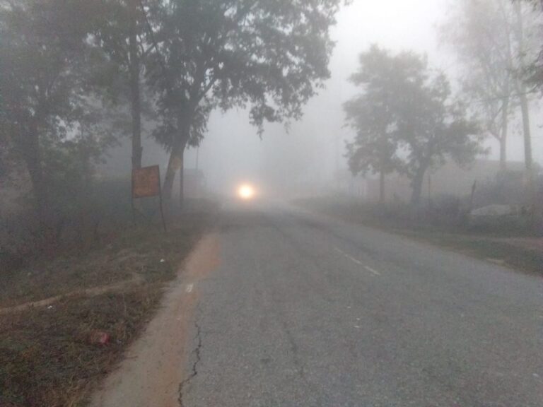 कोहरे की घनी चादर ओढ़े खट्टी मीठी यादों के साथ गुजर गया साल 2023
