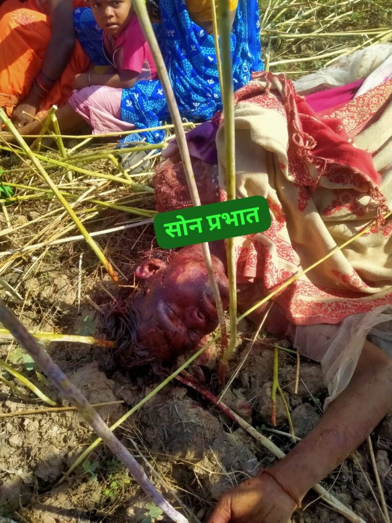 Sonbhadra crime: खेत में खून से लथपथ मिला युवक का शव, हत्या से मची सनसनी