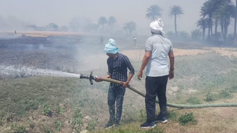 सोनभद्र में आग से 50 बीघा गेहूं की फसल जलकर हुई खाक।