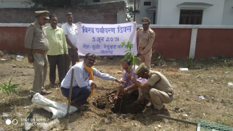 विश्व पर्यावरण दिवस पर वन विभाग परिसर में चेयरमैन ने फलदार वृक्ष का किया वृक्षारोपण।