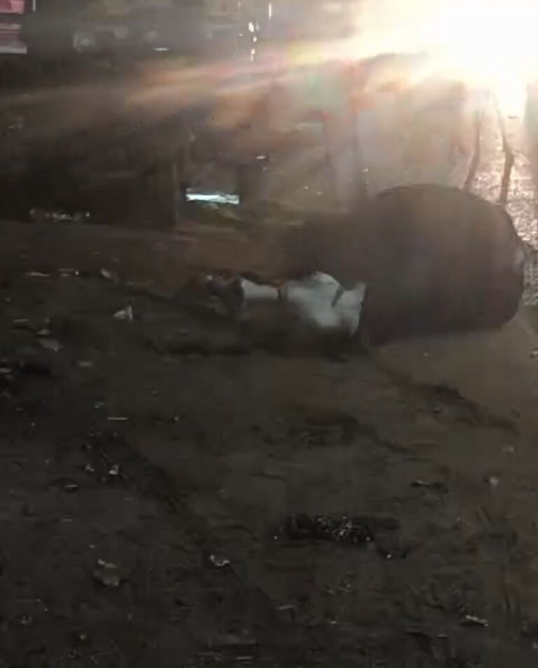 दुद्धी : पोल में विद्युत प्रवाह के कारण गर्भवती गाय की मौत।