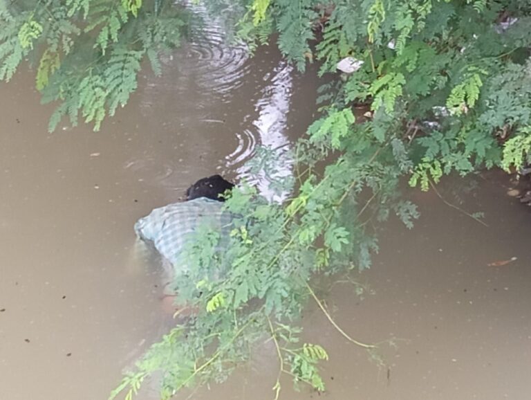 संदिग्धावस्था में पानी में तैरता मिला शव, पुलिस मौके पर। 