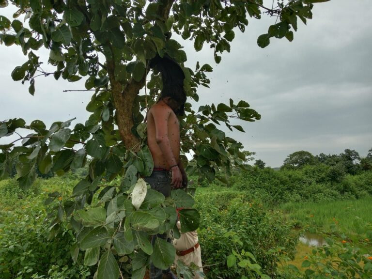 पेड़ से लटकती मिली नवयुवक की लाश।