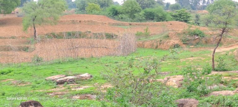 Sonbhadra News : नगवॉ क्षेत्र में घटती वन भूमि के लिए जिम्मेदार कौन?