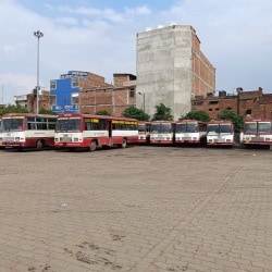 Sonbhadra News : रोजगार मेला में सोनभद्र डिपो के लिए 35 चालकों की भर्ती, 1 दिसम्बर तक चलेगा रोजगार मेला।