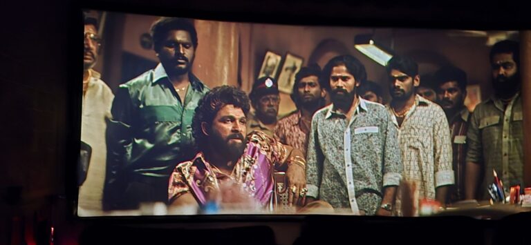 सोनभद्र में पुष्पा 2 की धूम: सभी फिल्म हॉल हाउसफुल, टिकट नहीं मिल रहे!