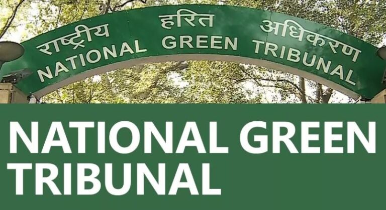 सोनभद्र : एनजीटी ने डीएफओ को दी सख्त हिदायत, ओबरा सी और अनपरा डी प्रोजेक्ट में पेड़ों की कटाई पर मांगा पूरा ब्यौरा