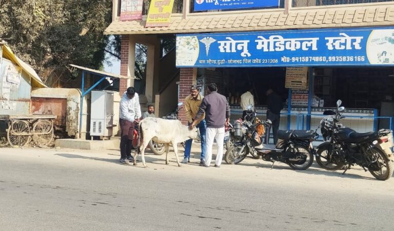 Sonbhadra News: संक्रमित गाय के बछिया का मलहम पट्टी कर बचाने का सराहनीय प्रयास जितेन्द्र कुमार चन्द्रवंशी द्वारा