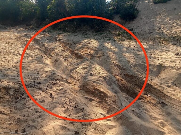 Sonbhadra News: अवैध खनन से पर्यावरण का भारी नुकसान, कनहर नदी पर गंभीर संकट