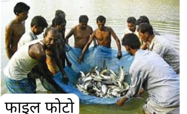 Sonbhadra News: मत्स्यजीवी सहकारी समिति लिमिटेड का गठन 13 दिसम्बर को होना हुआ सुनिश्चित