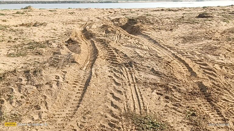 Sonbhadra News: बाड़ी सोन नदी से रात्रि में अवैध बालू खनन जोरों पर प्रशासन मौन