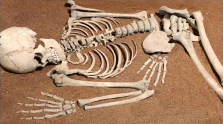 दुद्धी : अगवा कर हत्या की आशंका पर पिता ने दर्ज कराई रिपोर्ट, जंगल में मिला नर कंकाल