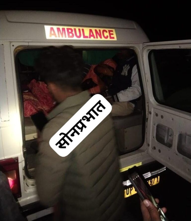 सोनभद्र : अनियंत्रित होकर पलटी सेवन सीटर कार, छह लोग सवार, पांच गंभीर घायल