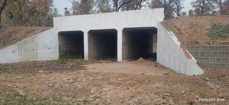 Sonbhadra News : मानक के विपरीत बना पुल, बारिश में जलभराव से बढ़ी परेशानी