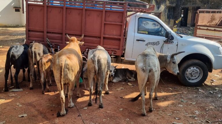 Sonbhadra News : रायपुर पुलिस पर गंभीर आरोप: जब्त पशुओं की सुपुर्दगी में अनियमितता, निष्पक्ष जांच की मांग