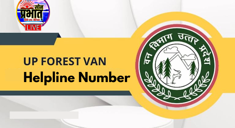 Sonbhadra News : वनों में आगजनी की घटनाओं पर वन विभाग सतर्क, जारी किए गए हेल्पलाइन नंबर – जनभागीदारी से होगा प्राकृतिक संपदा का संरक्षण