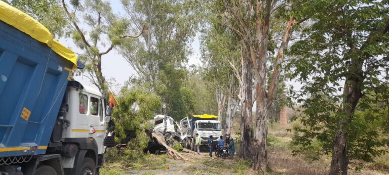 मुर्धवा-बीजपुर मार्ग पर रासपहरी के पास एक टेलर ने पेड़ पर मारी टक्कर.