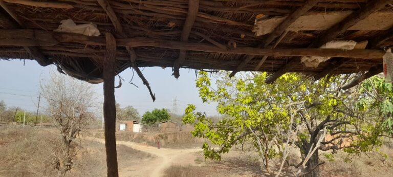 गर्मी ने बढ़ाई मुश्किलें: सोनभद्र में पारा 40 के पार, जल संकट से जूझ रहे हैं ग्रामीण, पशु-पक्षी भी बेहाल।