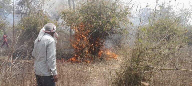 Sonbhadra News : वन क्षेत्र में आग का कहर लगातार तीसरे दिन, पर्यावरण और वनसंपदा को भारी नुकसान