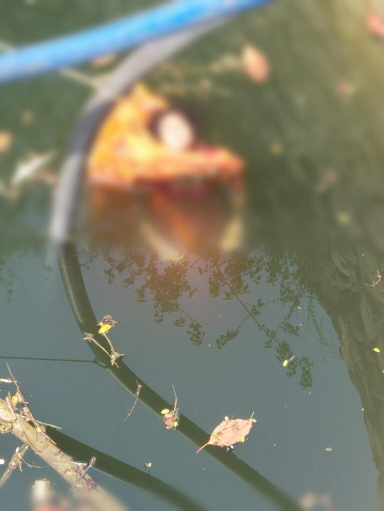 Sonbhadra News: कुएं में डूबने से महिला की मौत, परिवार में मचा कोहराम सुंदरी गांव की घटना, पुलिस कर रही जांच