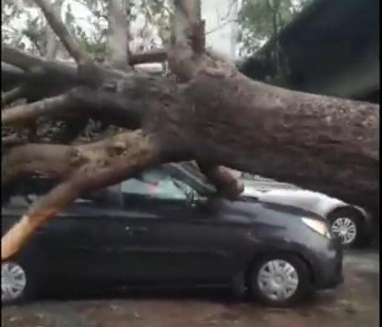 रेनुकूट तेज आंधी और बारिश से जनजीवन अस्त-व्यस्त।