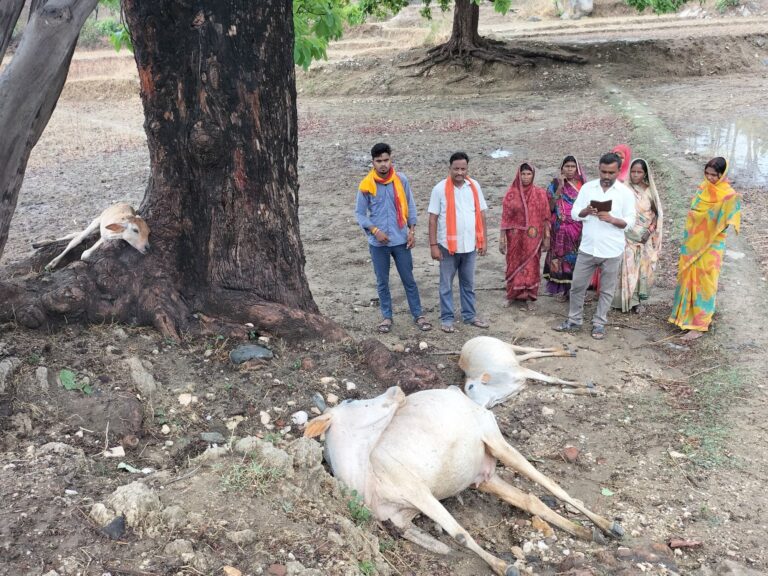 Sonbhadra News: आकाशीय बिजली से घोरपा गांव में 3 पशुओं की हुई मौत।