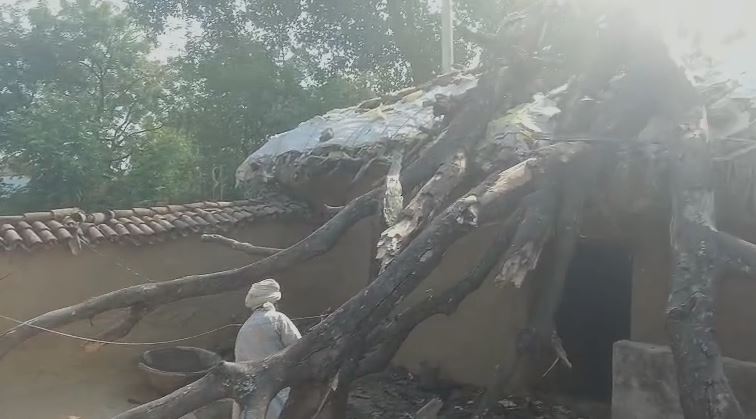 Sonbhadra News: तेज आंधी में इमली का पेड़ गिरा, गरीब परिवार का कच्चा मकान पूरी तरह ध्वस्त