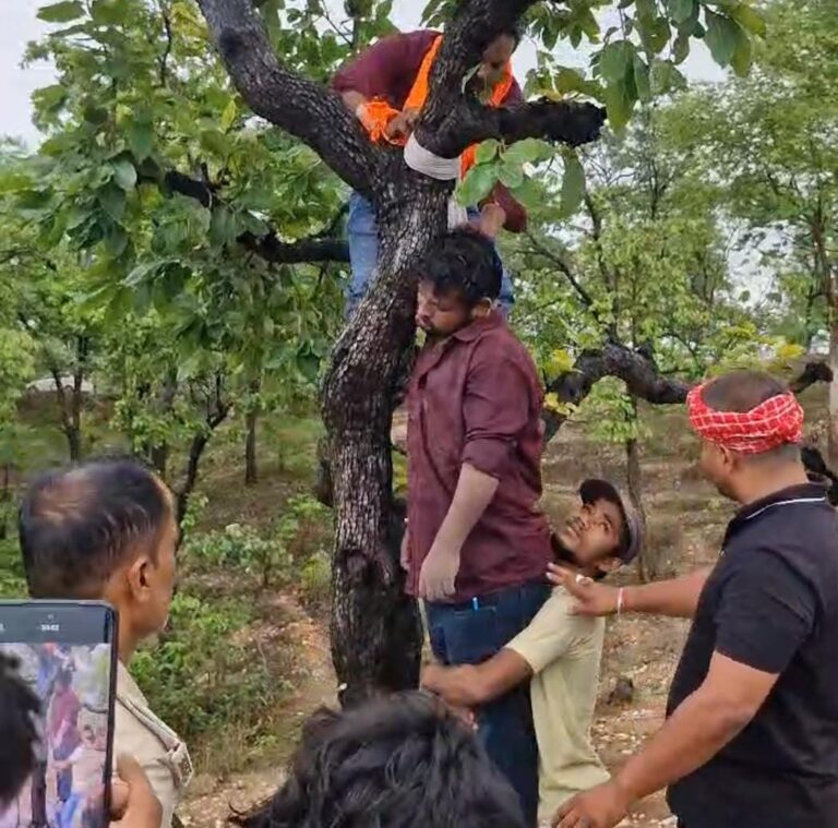 जंगल में पेड़ से लटका मिला युवक का शव, जीभ कटी और शरीर पर चोट के निशान, प्रेम प्रसंग में हत्या की आशंका।